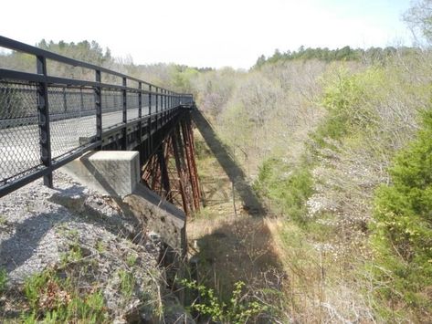 1. Tunnel Hill State Trail (Southern Illinois) Starved Rock State Park, Illinois River, Waterfall Trail, Southern Illinois, Camping Activities, The Windy City, Nature Trail, Best Hikes, Bike Trails