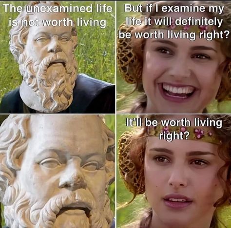 This could be the biggest trap in philosophy. Philosophy Jokes, Philosophy Memes, Nerdy Humor, Literature Humor, Scarring, Perspective On Life, Fresh Memes, Human Connection, Star Wars Memes