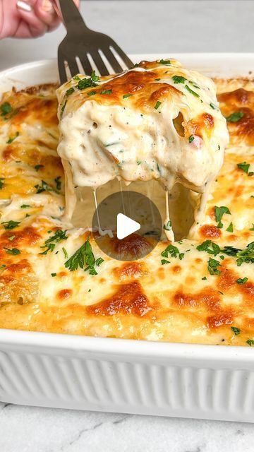 Chicken Lasagne Recipes, Lasagna Recipe Chicken, Lasagna Without Ricotta Cheese, Chicken And Spinach Lasagna, Chicken Alfredo Lasagna Roll Ups, Alfredo Lasagna Roll Ups, Chicken Lasagna Roll Ups, Blackened Chicken Alfredo, Chicken Spinach Lasagna