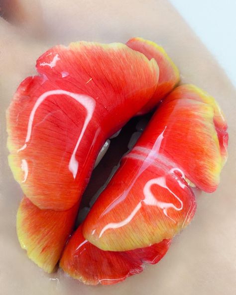 Marthamakeupartist IG Tulip Makeup, Tulips, Amsterdam, Watermelon, Makeup Looks, Fruit, Makeup, Instagram, Make Up Looks