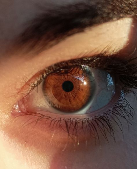 Dark Amber Eyes, Mix Aesthetic, Color Eyes, Amber Eyes, Brown Eye, Oc Inspo, Healthy Girl, Water Fountain, Brown Eyes