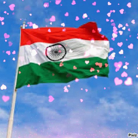 Suveer Indian Flag GIF - Suveer Indian Flag Hearts - Discover & Share GIFs Indian Flag Gif, Flag Gif, Waving Gif, Indian Flag Photos, Flag Of India, Ashoka Chakra, Indian Flag Images, Lovely Good Morning Images, Independence Day Images