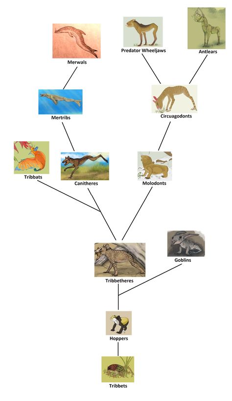 Serina: A Natural History of the World of Birds - Overview of Tribbetheres of the Early Ultimocene Evolution Illustration, All Tomorrows, Spec Evo, Speculative Biology, Creature Ideas, Speculative Evolution, Alien Life, Creature Artwork, Animal Groups