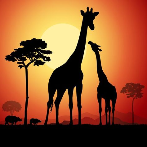 Africa Animals Illustration, Giraffe Silhouette, Africa Painting, Giraffe Drawing, Animal Wallpapers, Africa Art Design, Beautiful Countries, African Savannah, African Sunset