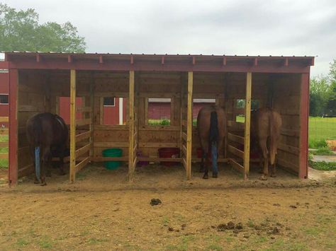 Great idea for pasture feeding. Feed from the outside and every horse has their own area. Feed Shed, Paddock Trail, Horse Feeder, Horse Shed, Horse Farm Ideas, Barn Stalls, Horse Shelter, Buffet Style, Run In Shed