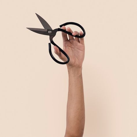 Free photo gardening tool scissor held b... | Free Photo #Freepik #freephoto #man-hand #diy #holding #man-holding Holding Scissors, Man Hand, Hands Holding, Hand Holding, Free Photo, Free Photos, Garden Tools, Hold On, A Woman