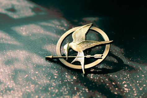 The Hunger Games - Mockingjay Pin Hunger Games Mockingjay Pin, Hunger Games Pin, Mockingjay Pin, Mocking Jay, Film Dvd, Hunger Games 3, Hunger Games Series, Peeta Mellark, Hunger Games Trilogy