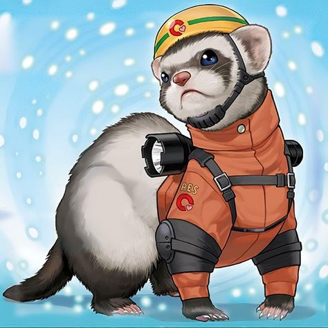 Rescue Ferret YGO Yu-GiOh! Cute Ferret Art, Ferret Art Drawing, Ferret Drawing, Ferret Art, Teddy Bear Costume, Funny Ferrets, Different Drawing Styles, A Ferret, Cute Ferrets