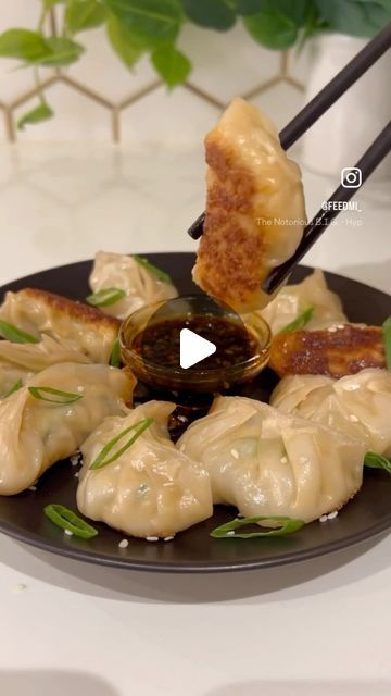 Every Day Easy Meals on Instagram: "Save this recipe for chicken dumplings! These pan fried dumplings or potstickers have the most irresistible crispy bottoms & a super flavorful juicy chicken & veggie filling! These also freeze well! I always keep some dumplings in the freezer for quick meals! Dumplings are also traditionally eaten during Lunar New Year because they resemble Chinese gold ingots & represent wealth so make sure to eat lots for good fortune! Happy year of the dragon!! INGREDIENTS (50 dumplings): 1 lb ground chicken 1 lb circular dumpling wrapper 2 cups napa cabbage 1 tsp salt 4 green onions 6 garlic cloves 2 inch ginger 1 tbsp soy sauce 1 tbsp oyster sauce 1 tbsp sesame oil 1 tbsp chicken bouillon 1 tsp white pepper Full printable recipe + more tips link in bio! #chickend Dumpling Wrapper, Chicken Dumplings Recipe, Pan Fried Dumplings, Chinese Gold, Chicken Dumplings, Chicken Bouillon, Fried Dumplings, Dumpling Wrappers, Recipe For Chicken