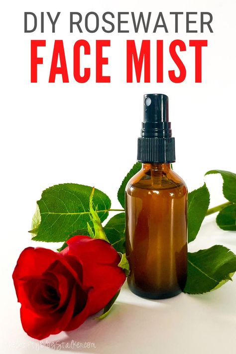 Use roses in your beauty routine as it helps your skin stay hydrated and glowing with health. Find out how to make your own rosewater face mist here. #thecraftyblogstalker #DIYfacemist #diybeauty #facemistrecipe Diy Rose Water Face Mist, Face Mist Diy Glowing Skin, Diy Face Mist, Rose Water Face Mist, Rose Water Diy, Face Mist Spray, Homemade Skincare, How To Make Rose, Face Spray