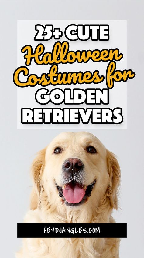 25+ Halloween Costumes for Golden Retrievers (& Labs) - From fluffy lions to action heroes in capes, scary villains, and everything in between, check out 25+ cute and spooky Halloween costumes for Golden Retrievers and Labs right here! Halloween Dog Costume Golden Retriever, Dog Halloween Costumes For Golden Retrievers, Halloween Costume With Golden Retriever, Yellow Lab Halloween Costume Ideas, Diy Dog Halloween Costumes Golden Retriever, Funny Dog Costumes With Owner, Golden Retriever Halloween Costume Funny, Labrador Retriever Halloween Costume, Golden Retriever Costume Ideas