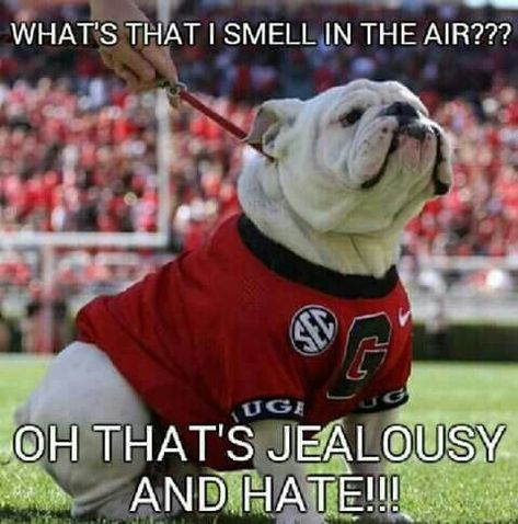 Go Dawns!! Uga Pictures, Georgia Bulldogs Quotes, George Football, Georgia Bulldog Mascot, Bulldog Wallpaper, Georgia Bulldawgs, Georgia Style, Uga Football, Uga Bulldogs