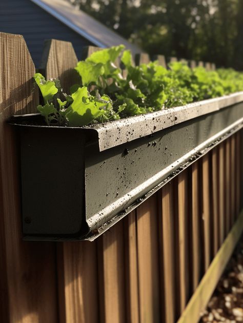 Best Edible Plants: Repurposed Gutter Planter for Leafy Lettuce Fence Planters Ideas, Fence Planter Boxes, Fence Hanging Planters, Outdoor Garden Decor Ideas, Window Box Planters, Indoor Planter Box, Planter Box Ideas, Herb Garden Boxes, Garden Decorations Ideas