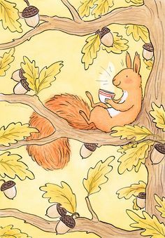 Squirrel Illustration Drawing, How To Draw A Squirrel, Cartoon Squirrel Drawing, Squirrels Illustration, Acorn Drawing, Squirrel Drawing, Squirrel Illustration, Squirrel Art, Page Borders Design