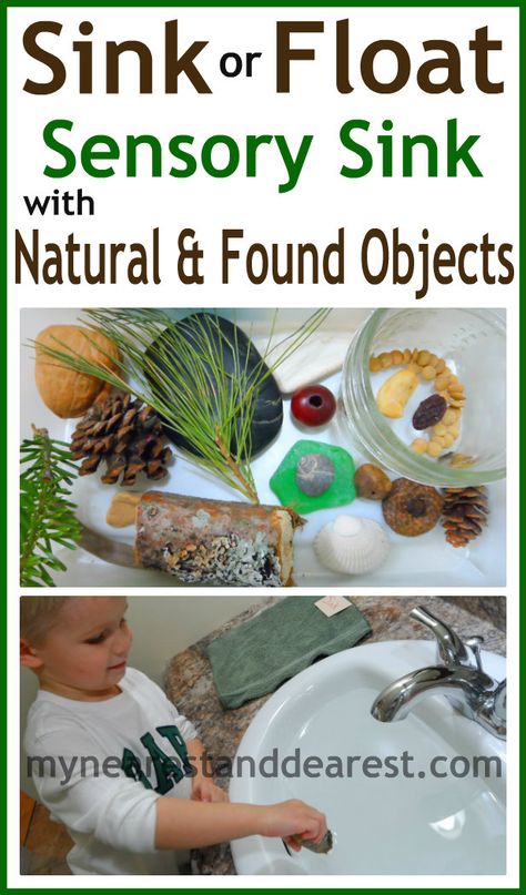 Indoor nature activities for kids Nature Language Activities Preschool, Prek Nature Activities, Tree Animals Preschool, Toddler Nature Activities, Sensory Objects, Nature Activities For Kids, Indoor Nature, Nature Objects, Sink Or Float