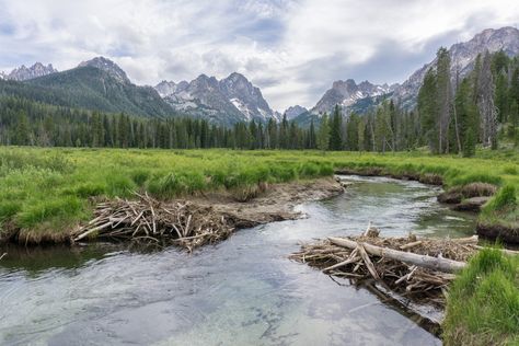 Take a Hike in the Sawtooths: 3 Beautiful Trails near Redfish Lake - Visit Idaho Redfish Lake Idaho, Idaho Vacation, Trail Life, Visit Idaho, Sawtooth Mountains, Idaho Travel, Hiking Spots, River Rafting, Mountain Travel