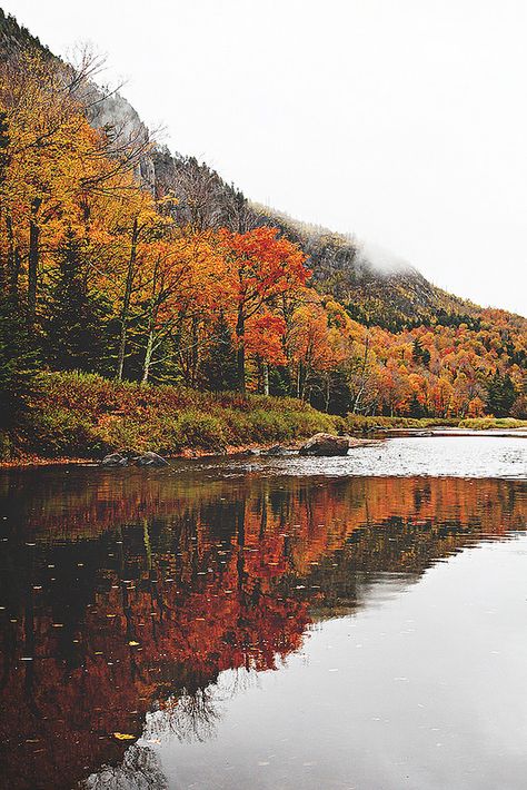 Weather Aesthetic, Affinity Photo, Image Nature, Autumn Beauty, Best Seasons, Lombok, Autumn Aesthetic, Fall Sweaters, Fall Foliage