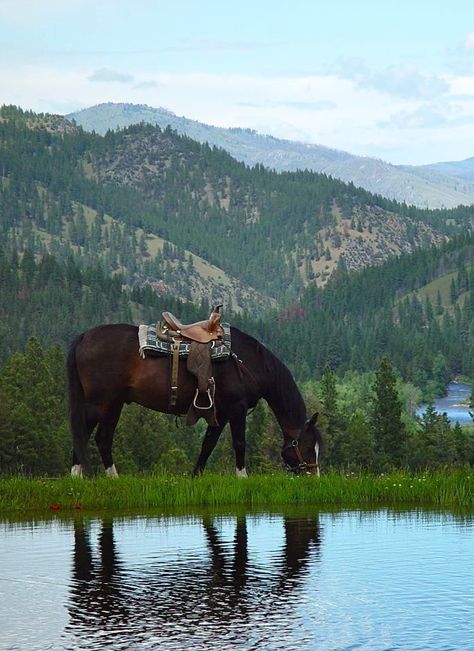 Horseback Riding in the Mountains | Triple Creek Ranch - Darby, Montana ..... #bucketlist #adventure #travel #outdoors #explore #mountains #lifegoals #wanderlust #nature #landscape #vacation #beautiful #tourism #photography #wilderness #scenic #summer #destinations #trip #beautifuldestinations #escape #getaway #travelphotography #worldtraveler #traveler #sightseeing #getoutside #horseback #lovetotravel #holiday #lifestyle #travelinspiration @triplecreekranch Summer Landscape Photography, Small Landscape Trees, Darby Montana, Landscape Art Lessons, Ranch Montana, Big Sky Montana, Dude Ranch, Home On The Range, Landscape Architecture Design