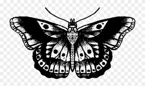 Tatuajes Harry Styles, Vintage Butterfly Tattoo, Harry Styles Butterfly, Harry Tattoos, Butterfly Black And White, Harry Styles Tattoos, Tattoo Templates, Moth Tattoo, Butterfly Tattoo Designs