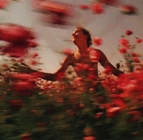 Vivian Maier, Red Aesthetic, Pics Art, Photography Inspo, Cinematography, In The Middle, Flower Power, The Middle, Alabama