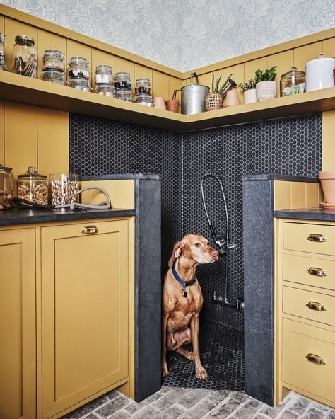 Farrow & Ball on Instagram: "This #IndiaYellow utility room complete with dog shower has certainly raised the bar as a multi-functional yet beautiful space. 📷…" Most Popular Paint Colors, Dog Washing Station, Popular Paint Colors, Farrow And Ball Paint, Dog Wash, Dog Rooms, Dog Shower, Brick Flooring, Boot Room