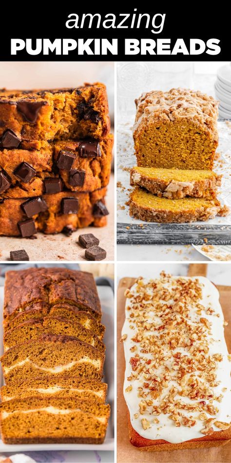 four different pumpkin breads Pumpkin Bread Topping, Pumpkin Bread With Streusel Topping, Pumpkin Bread With Chocolate Chips, Pumpkin Bread Recipes, The Best Pumpkin Bread, Chocolate Bread Recipe, Pumpkin Cranberry Bread, Chocolate Pumpkin Bread, Best Pumpkin Bread