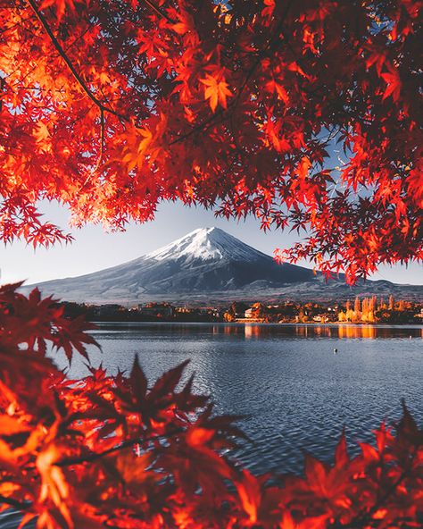 Gunung Fuji, Kolam Air, Japan Autumn, Fuji Mountain, Visit Tokyo, Japan Landscape, Mont Fuji, Yamanashi, Ibaraki