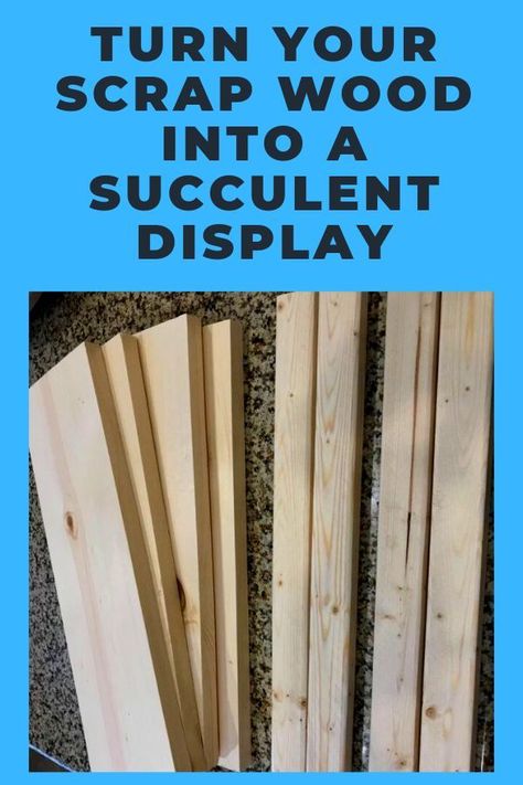 Succulent Boxes, Succulent Shelf, Workshop Hacks, Succulent Display, Succulent Planter Diy, Planter Diy, Simple Farmhouse, Wood Projects For Beginners, Blanket Diy