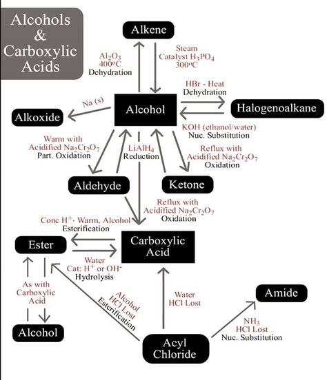 Alcohols and Carboxylic Acids . Visit Our Website. . Link In Bio ☝️☝️☝️ .  Follow For More👇👇👇 @heritagetutorials  @heritagetutorials  @heritagetutorials . Turn on the post of notification to never miss the new post . #science #alcoholacidfat #acidinktattooart #chemistrylab #chemistry #chemistry_lab #chemistrylove #chemistrymemes #chemist #chemistryeducation #homologousseries  #biology #physics #physicianassistant #scienceexperiments #sciencefiction #sciencefacts #scienceteacher  #heritagetuto Organic Chemistry Cheat Sheet, Chemistry Reactions, Organic Chemistry Notes, Chemistry Organic, Organic Chemistry Reactions, Organic Reactions, College Chemistry, Chemistry Help, Organic Chem