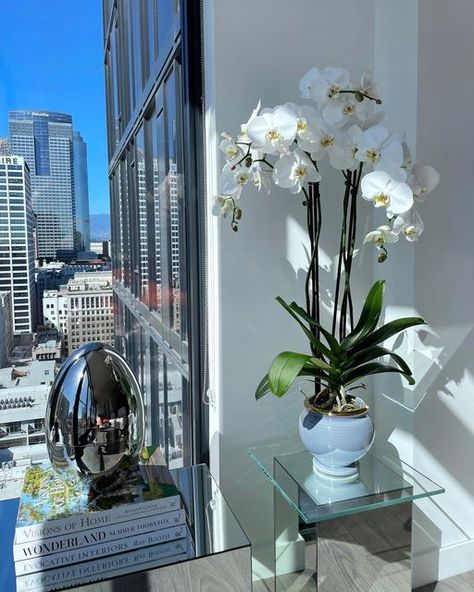 Orchid Vase, Green Corner, The Orchid, Note To Self, Living Rooms, Orchids, Dining Table, Vase, Interior Design