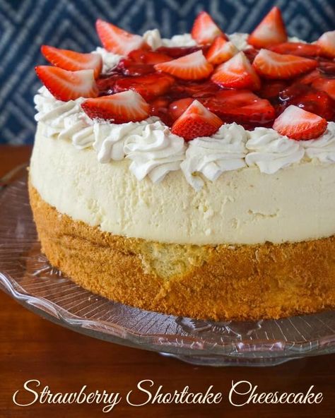 Strawberry Shortcake Cheesecake Recipe, Baked Vanilla Cheesecake, Cheesecake Cakes, Epiphany Cake, Cake And Cheesecake, No Bake Vanilla Cheesecake, Mousse Au Chocolat Torte, Cheesecake Cake Recipes, Strawberry Shortcake Cheesecake