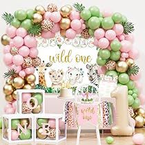 Wild One Birthday Decorations, First Birthday Decorations Girl, Baby First Birthday Themes, Baby Birthday Party Theme, Monthly Photo Banner, 1st Birthday Girl Decorations, Baby Birthday Decorations, Crown Pink, Baby Birthday Themes