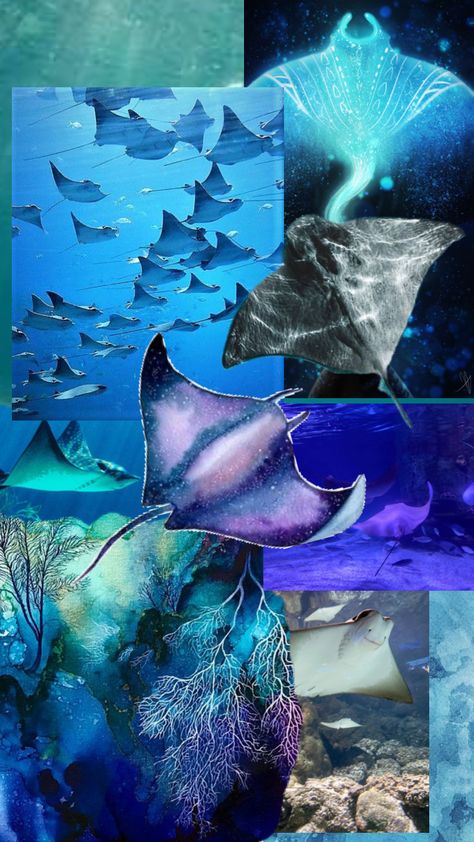 Stingray Wallpaper Iphone, Stingray Wallpaper Aesthetic, Sting Ray Aesthetic, Sting Ray Wallpaper, Manta Ray Aesthetic, Manta Ray Wallpaper, Sting Ray Art, Stingray Wallpaper, Manta Ray Art