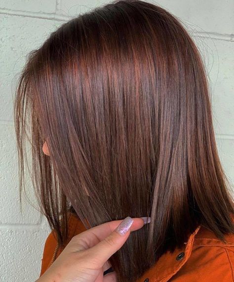 Warm Up Your Look This Fall With The Cinnamon Brown Hair Trend Medium Brown Reddish Hair, Reddish Brown Hair Straight, Auburn Dye On Brown Hair, Hair Color Cinnamon Brown, Spiced Cinnamon Hair Color, Crimson Brown Hair, Medium Brown With Red Tones, Brown Hair Colors Reddish, Medium Maple Brown Hair Color