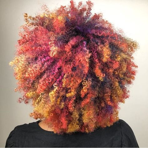 Autumn fall multi tone dyed curly afro #curls #naturalhair Multi Colored Dyed Hair, 4c Hair Color Ideas, Dyed Afro, Orange Afro, Curly Dyed Hair, Afro Hair Dye, Hairstyle References, Color Me Badd, Yellow Hair Color