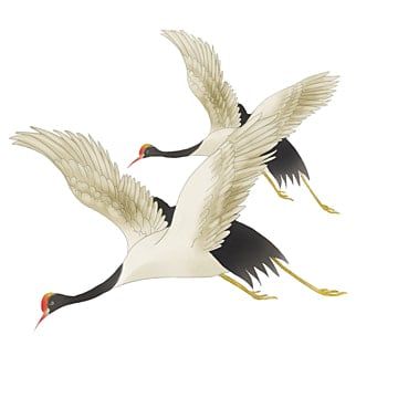 Red Crowned Crane, Bird Png, Crowned Crane, China Ink, White Crane, Bird Clipart, Red Crown, Crane Bird, Watercolor Red