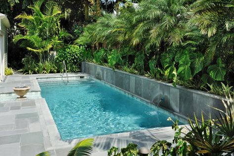 Long and narrow pool for a wide smaller backyard space. Pool With Planter Wall, Lap Pool Designs, Entry Steps, Lap Pools, Pool House Decor, Kleiner Pool Design, Modern Pool House, Moderne Pools, Small Swimming Pools