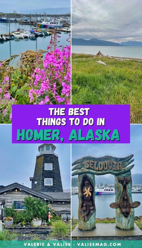 During your Alaska trip, you simply have to visit Homer! Here are the best things to do in Homer, and the surrounding area. Alaska Itinerary, Talkeetna Alaska, Alaska Travel Guide, Alaska Summer, Alaska Road Trip, Trip To Alaska, Homer Alaska, Alaska Trip, Visit Alaska