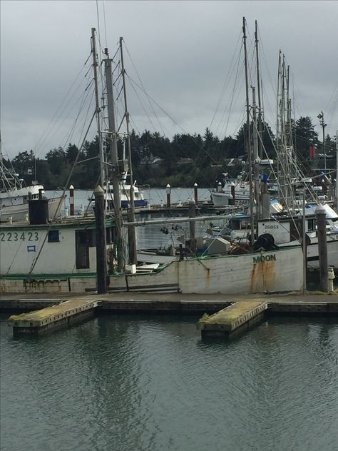 Old Moon Fishing boat--Charleston, Oregon Oregon Fishing, Fishing Boat, Fishing Boats, Charleston, Oregon, Fishing, Moon, Fish