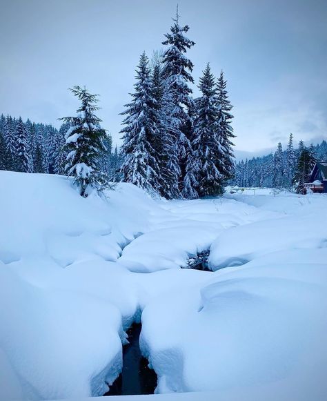 Snoqualmie Pass 🏂❄⛷ Washington. 🏞 #evergreenstate #emeraldcity #tourism #travelseattle #snoqualmie #snoqualmiepass #pnw #washingtonstate #Washington #cascades #cascademountains #travelsnoqualmiepass #mountains #snowboarding #countryliving #skiing #nature Evergreen State, Cascade Mountains, Emerald City, Local Guide, Washington State, Country Living, Pacific Northwest, North West, Snowboarding