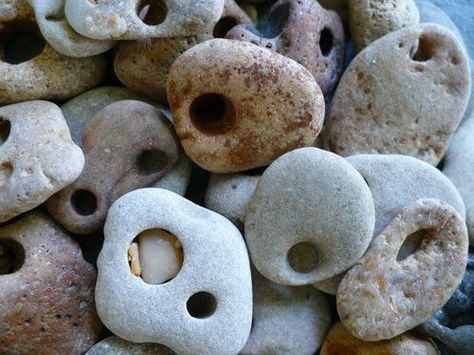 kerryalaska: “ Hag stones, also known as Holey Stones or Witch Stones are stones that have a naturally occurring hole and are usually found near oceans and other bodies of water. They are said to be... Rocks With Holes, Witch Stones, Folk Magic, Bodies Of Water, Hag Stones, Sticks And Stones, Beltane, Beach Stones, Rocks And Gems