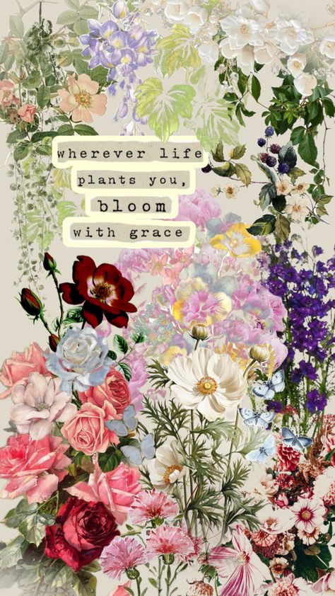 #shufflefyp #floral #bloom Instagram Infographic, Iphone Screen Savers, Idgaf Quotes, Affirmation Wallpaper, Quote Collage, Common Quotes, Magazine Collage, Remember Quotes, Bloom Where You Are Planted