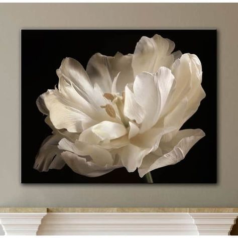 ArtWall Cora Niele 'White Tulip' Gallery Wrapped Canvas Wall Art - On Sale - Bed Bath & Beyond - 11426169 Removable Wall Art, Double Black, White Images, Removable Wall Decals, Decor Pillows, White Tulips, Mural Wall Art, Vinyl Wall Art, Arte Floral