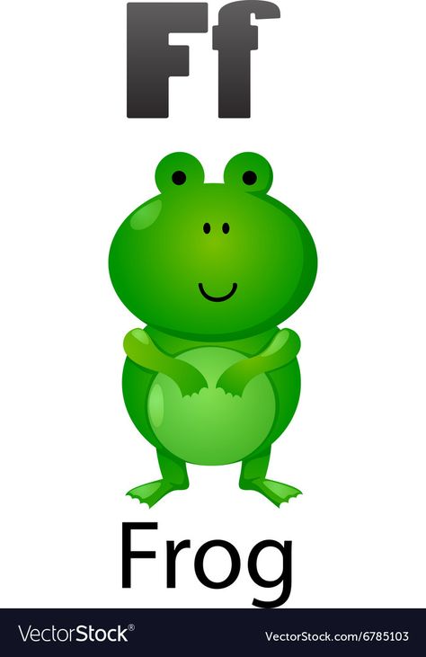 F For Frog, Frog Vector, Children Activities, Flashcards For Kids, Learning Abc, Kids English, Abc Book, Flash Card, Letter F