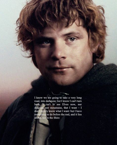 Samwise Gamgee Samwise Gamgee Quotes, Rings Quotes, Samwise Gamgee, Concerning Hobbits, Male Characters, The Shire, Fellowship Of The Ring, Quotes By Authors, Male Character