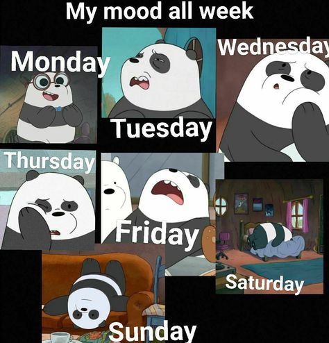 Tuesday Mood, Street People, Friday Saturday Sunday, My Mood, Thursday Friday, Monday Tuesday, Saturday Sunday, Snoopy, Memes