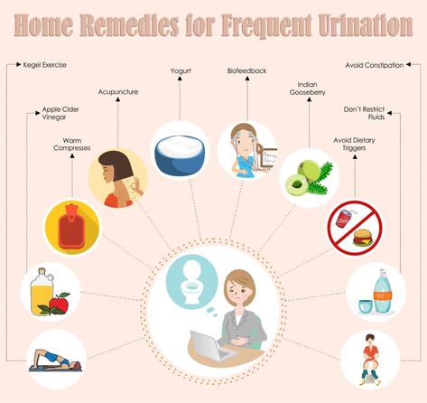 Frequent Urination Remedies, Homeopathy Remedies, Top 10 Home Remedies, Frequent Urination, Pelvic Floor Exercises, Floor Exercises, Kegel Exercise, Leaky Gut, Just For Men