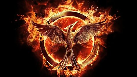 The Hunger Games The Hunger Games: Mockingjay - Part 1 #1080P #wallpaper #hdwallpaper #desktop Wallpaper For Ipod, The Hunger Games Wallpaper, Hunger Games Prequel, Hunger Games Wallpaper, Phoenix Artwork, Ipod Wallpaper, Famous Philosophers, Games Wallpaper, Hunter Games