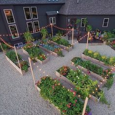 Dreaming of dreamy gardens! (How do we make it come true)? Love this one at the home of @caseylynnlawrence with her black house in the background. Poppytalk (@poppytalk)  Instagram photos and videos Dreaming of dreamy gardens! (How do we make it come true)? Love this one at the home of @caseylynnlawrence with her black house in the background. Poppytalk (@poppytalk)  Instagram photos and videos Plantarea Legumelor, Vegetable Garden Beds, Vegetable Garden Ideas, Healthy Vegetable, Backyard Vegetable Gardens, Nutritious Food, Vegetable Gardens, Garden Types, Veg Garden