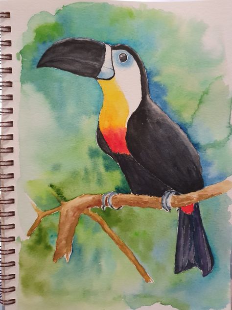 Tucan Drawings, Toucan Drawing, Blue Rio, Dad Drawing, Toucan Art, Watercolour Drawings, Pencil Drawing Images, Step By Step Watercolor, Realistic Paintings